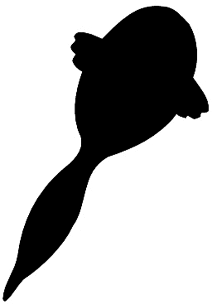 Diving bird silhouette vinyl sticker. Customize on line.      Animals Insects Fish 004-0947  
